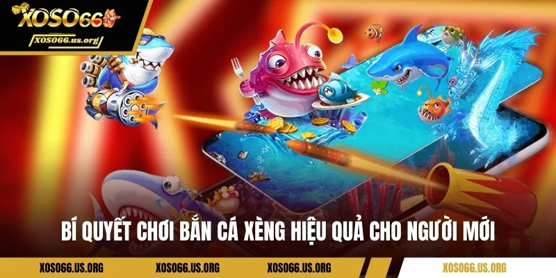 Bí quyết chơi bắn cá xèng hiệu quả cho người mới