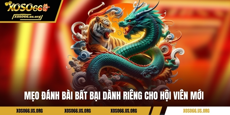 Mẹo đánh bài bất bại dành riêng cho hội viên mới 