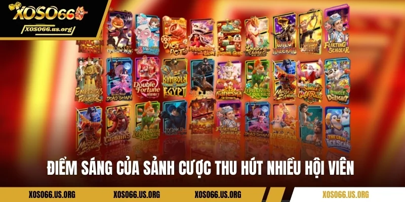 Điểm sáng của sảnh cược thu hút nhiều hội viên 