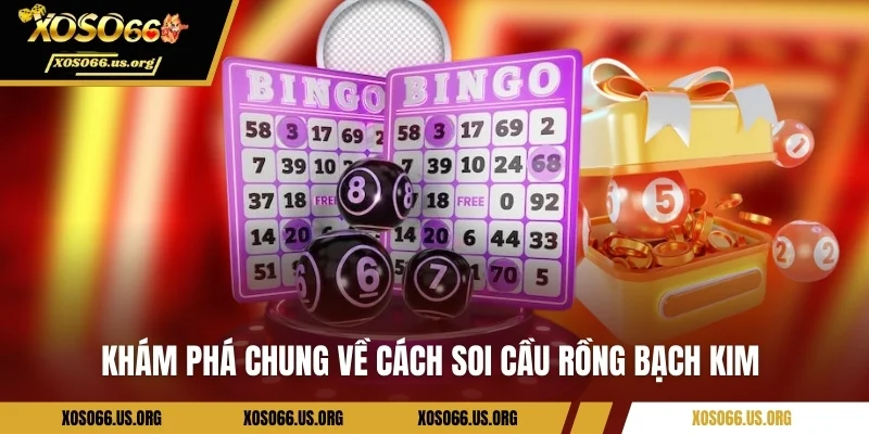 Khám phá chung về cách soi cầu Rồng Bạch Kim 