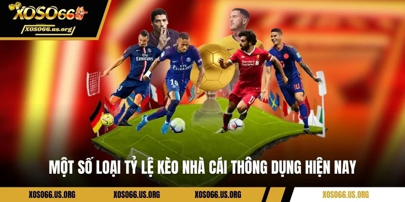 Một số loại tỷ lệ kèo nhà cái thông dụng hiện nay