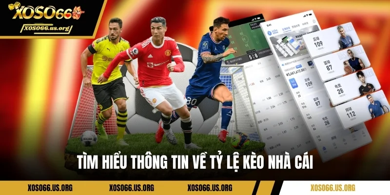 Tìm hiểu thông tin về tỷ lệ kèo nhà cái