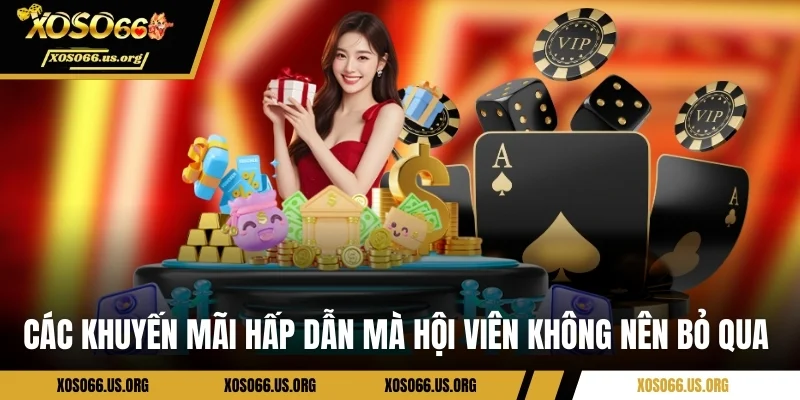 Các khuyến mãi hấp dẫn mà hội viên không nên bỏ qua 